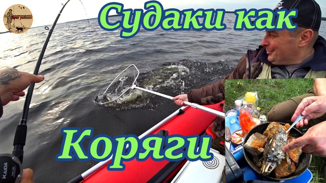 Судаки как коряги.Рыбалка на водохранилище.#рыбалка .#троллинг .#водохранилище .#лодка . смотреть онлайн