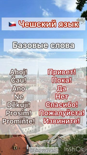 🇨🇿 Базовые слова на чешском языке 🇨🇿