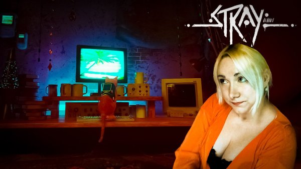 Котик на все лапы мастер ( Stray #3 Финал )