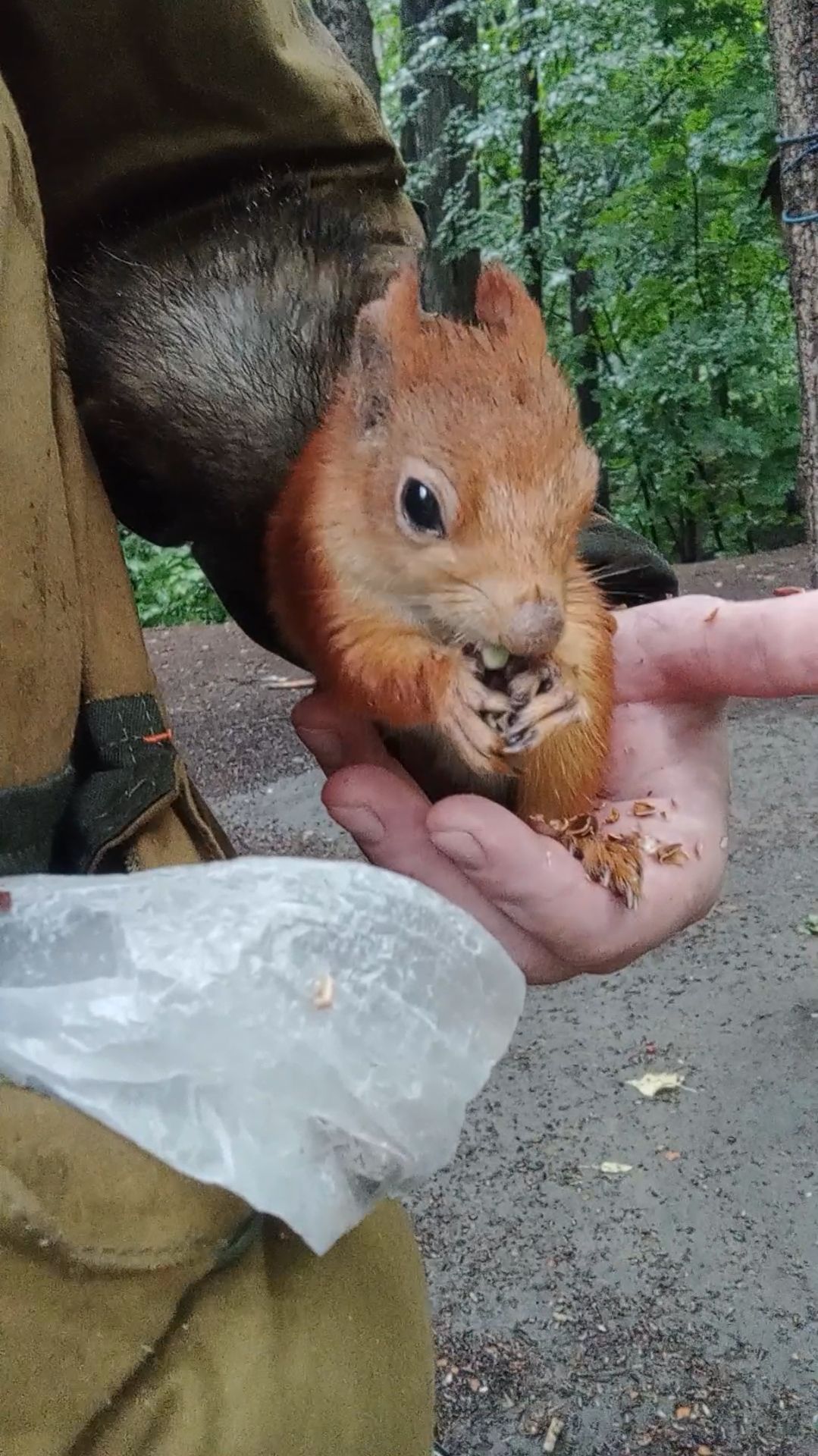 Белка на ладони. Июль 2024 смотреть онлайн