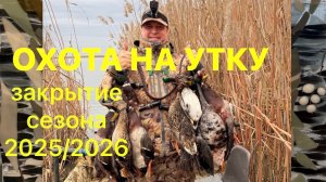 ЗАКРЫТИЕ СЕЗОНА 2025-2026 / ОХОТА НА УТКУ