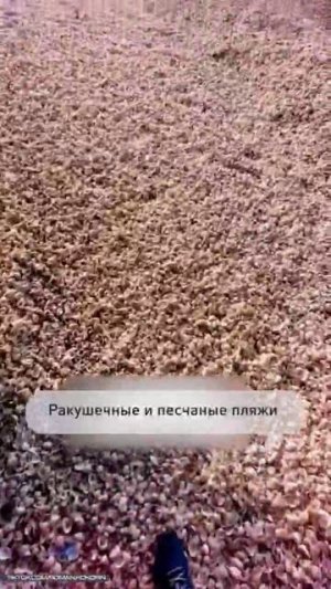 Недруги России продолжают сочинять грязные истории про злых русских и их жизни в грязи