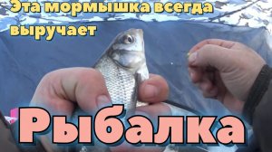 РЫБАЛКА в китайской палатке на безмотылку, протестировал палатку автомат