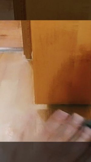 моя кошка кнопа