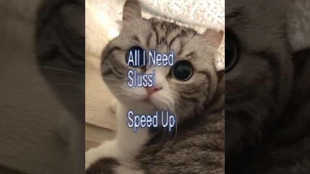 All I Need By Slussi I Speed up