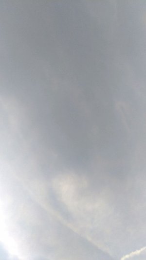 Для девочек