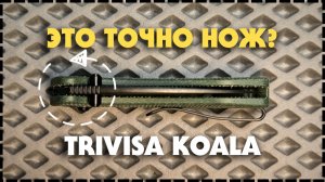 ЗАЧЕМ ТЕБЕ СТОЛЬКО НОЖЕЙ? Складной Нож Trivisa Koala Идеален Для Повседневного Ношения