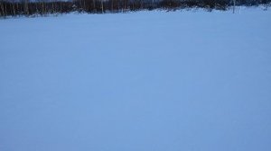 Пробираюсь к пчёлам!!!! Часть первая. Продолжение следует.