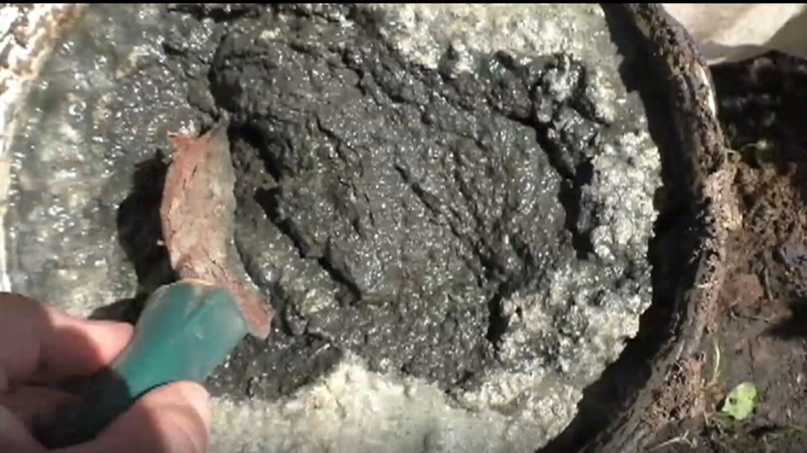 Куриный помет хорошее органическое удобрение