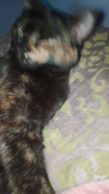 пора на работу