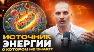 От чего зависит, сколько энергии у тебя сегодня