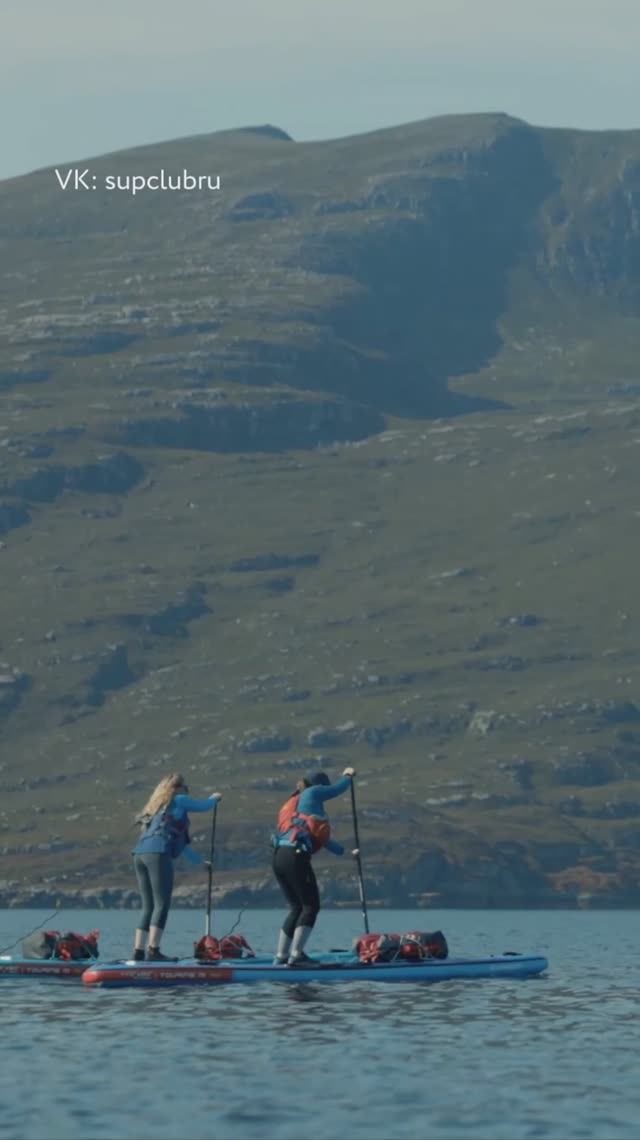 Дельфины внезапно вышли на связь. Сап-прогулка, которую не забыть 🐬 #shorts смотреть онлайн