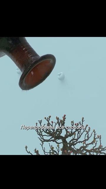 Краткий пересказ фильма 2026 смотреть онлайн