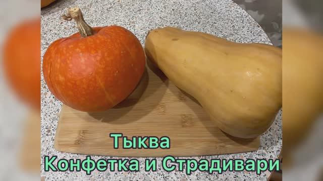 Тыква Конфетка и Страдивари в январе месяце. В чём отличие? смотреть онлайн