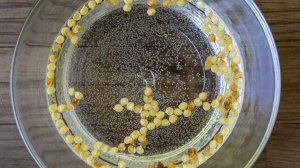 5 ошибок садоводов, из-за которых не всходят семена