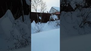 Иду с Озона,получила вторую книгу по вязанию.Небольшая прогулка-30.01.26