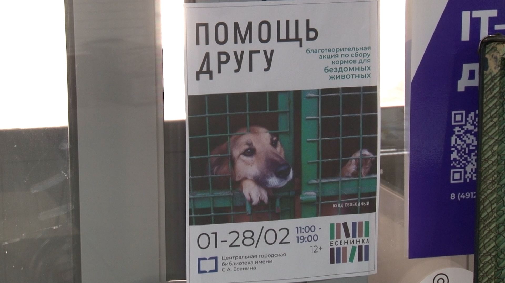 «ЛУЧШИЙ ДРУГ» смотреть онлайн