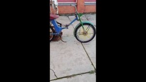 МОИ ДРУЗЬЯ И ПОКАТУШКИ