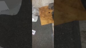 замена сцепления и сальника коленвала great wall safe