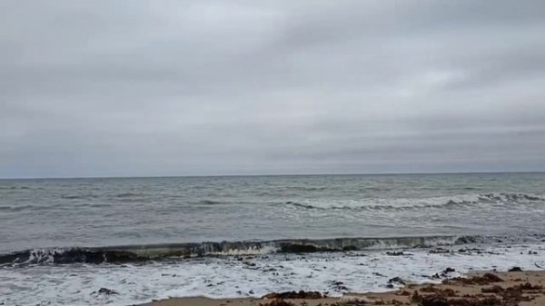 МОРЕ - музыка души