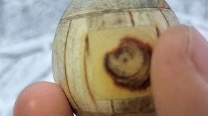 Шкатулка в зимнем парке на заснеженной березе