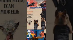 Разносы от Савелия