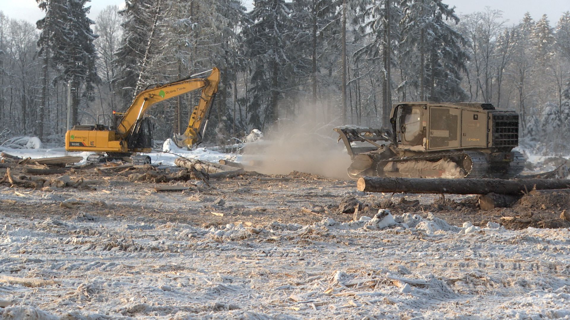Расчистка Пуловского леса смотреть онлайн