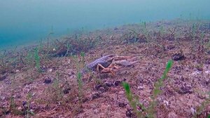 Варваровское водохранилище под водой