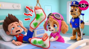 Щенячий патруль и Маршалл. Залипательное видео. Мультфильм для детей и малышей. Анимация 153