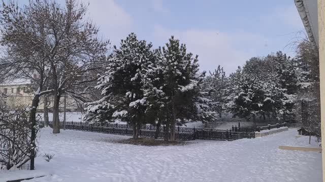 Отчёт Январь СП Носочная коробочка 2026 с Катериной Шурм смотреть онлайн