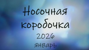 СП "Носочная коробочка - 6" с Катериной Шурм. Отчет января.