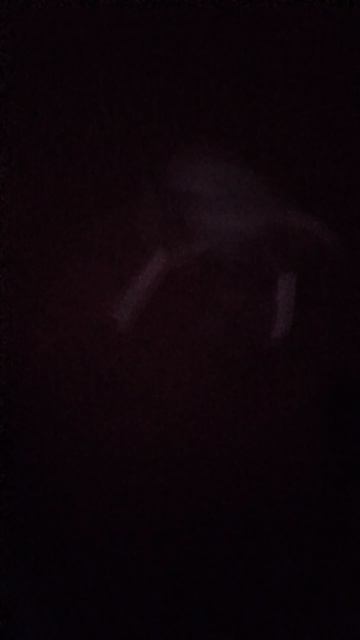 гугу гага 😲