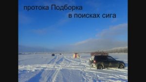 протока Подборка в поисках сига