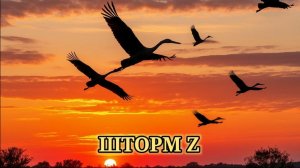 Шторм  Z