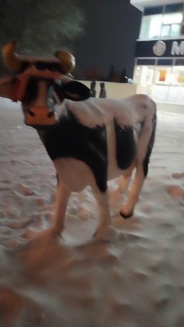 Очень страшная корова