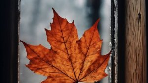 Не плюйте в души тех , кто вас любил ...