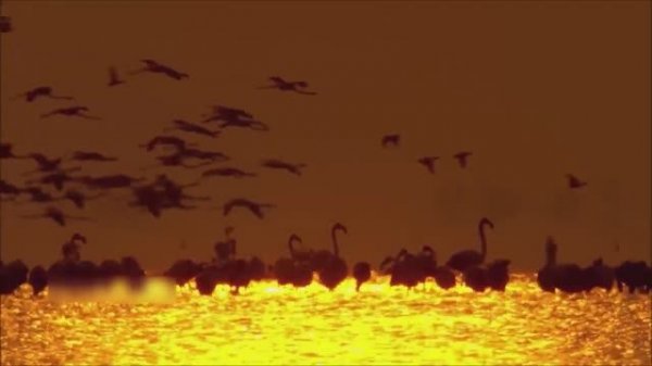 КРАСИВАЯ РАССЛАБЛЯЮЩАЯ МУЗЫКА ДЛЯ ДУШИ УСПОКАИВАЮЩАЯ МУЗЫКА ДЛЯ СНА