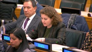 Выступление А.М.Евстигнеевой в Комиссии по миростроительству