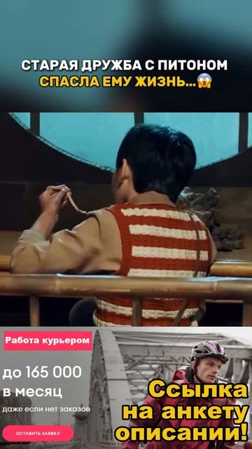 Краткий пересказ фильма 2026 смотреть онлайн