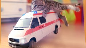 Играем с маленьким котенком