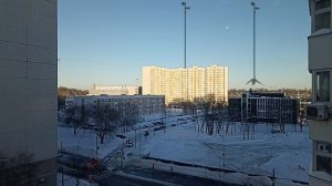 два гигантских сиреноголовых с длинной шеей