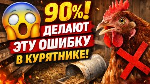 Как сделать идеальный курятник: комфорт, яйца и здоровые куры 🐔🐔🐔🐔