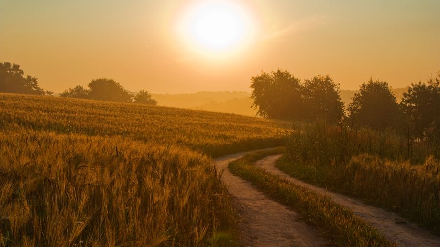 Началось в колхозе утро - Евгений Котцов (Автор, исп. ИИ)