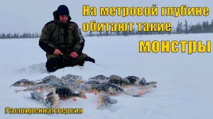 В этом озере ловится шикарный окунь. Расширенная версия. Зимняя рыбалка 2025.