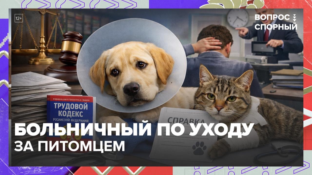 В России могут ввести больничный по уходу за домашним животным | Вопрос спорный — Москва 24 смотреть онлайн