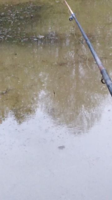 ✔Ребята,🐟поклёвка🎣✔