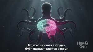 интересные факты о осминогах