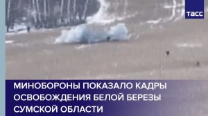 Минобороны показало кадры освобождения Белой Березы Сумской области