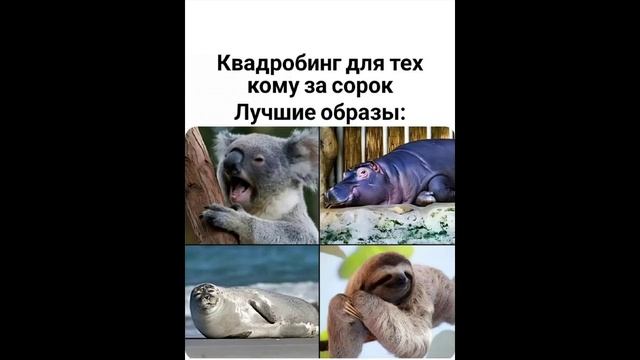 Разговоры с коллекторами 114 смотреть онлайн