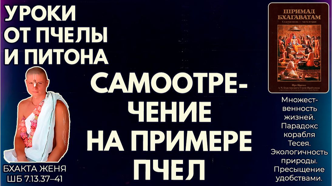 Уроки от пчелы и питона. Самоотречение на примере пчел. Бхакта Женя. ШБ 7.13.37–41